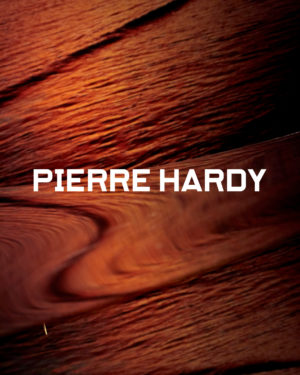 Pierre Hardy Campaign - Julien Gallico Studio