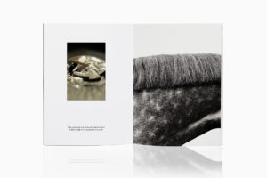 Hermès Catalogue - Julien Gallico Studio