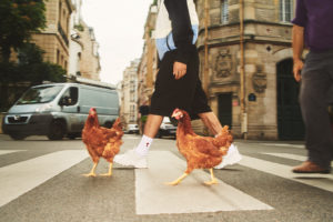 Ami Campaign - Julien Gallico Studio