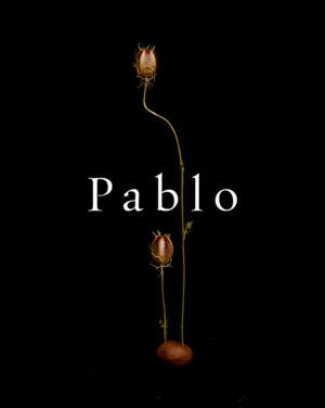 Pablo campaign - Julien Gallico Studio